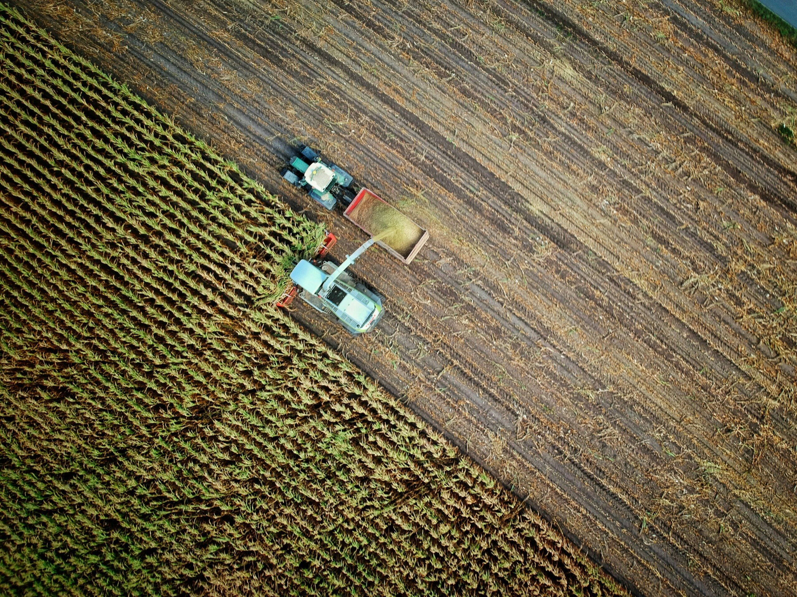 agriculture métiers sous tension travailleurs étrangers